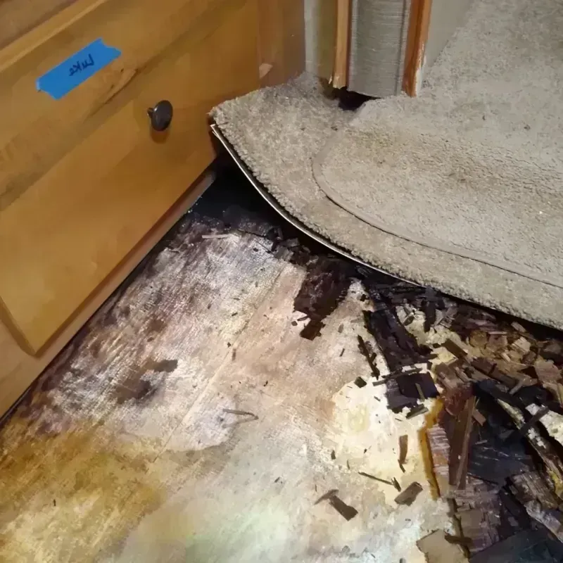 Best Wood Floor Water Damage Service in West Bend, WI